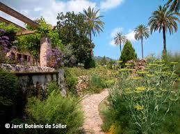 el Jardín Botánico de Sóller