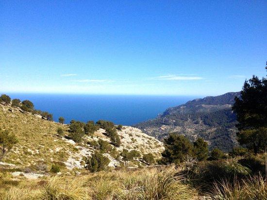 Rock and Ride Mallorca