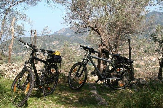 Motos Pepllu Rent