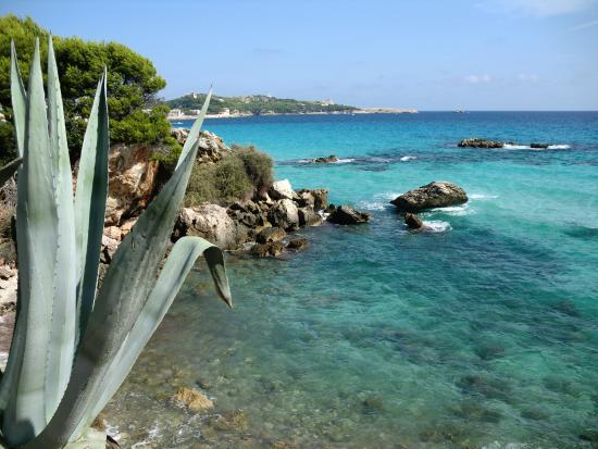 Playa de Son Moll