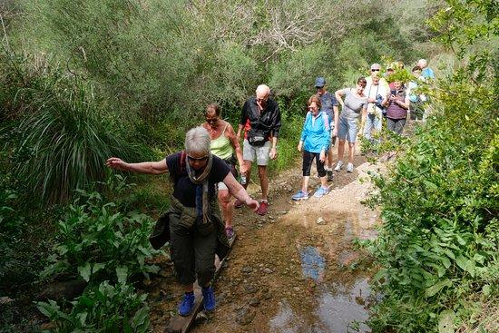 Torrent De Santa Ponca Trail