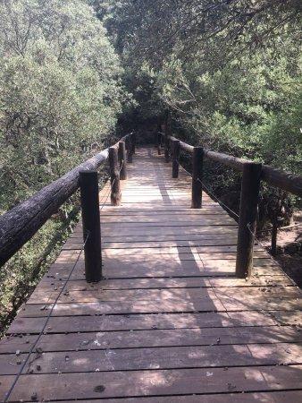 Offroad Mallorca