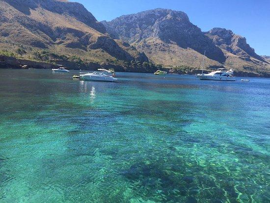 Ocean Dreams Charter