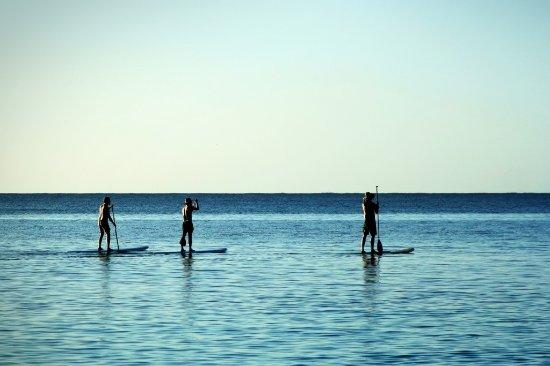 Mallorca SUP Rental