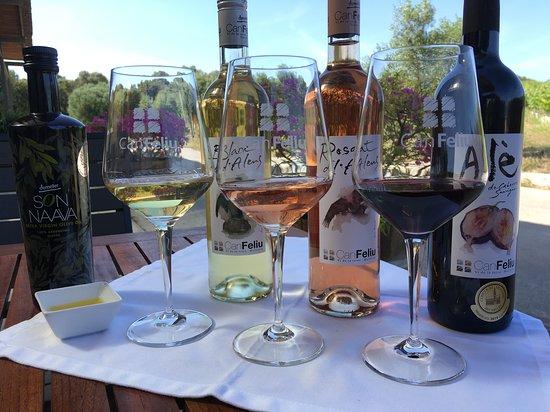 Bodega Can Feliu