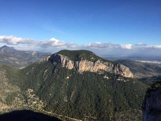 Castell d'Alaro