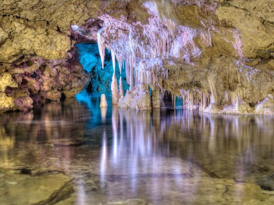 Cuevas dels Hams